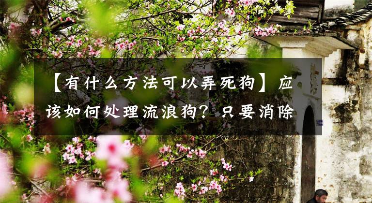 【有什么方法可以弄死狗】应该如何处理流浪狗？只要消除就行了吗？要从根源上解决问题文章配图
