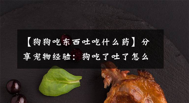 【狗狗吃东西吐吃什么药】分享宠物经验：狗吃了吐了怎么办？文章配图