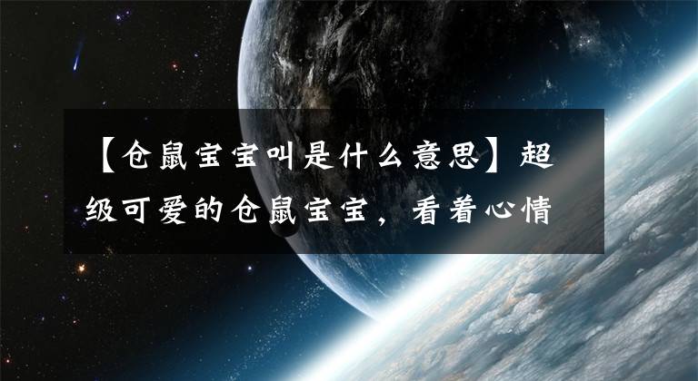 【仓鼠宝宝叫是什么意思】超级可爱的仓鼠宝宝，看着心情就好了文章配图