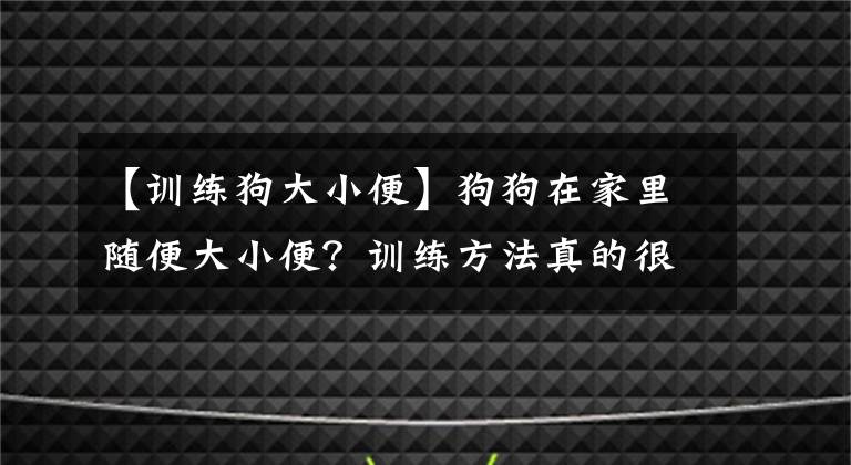 【训练狗大小便】狗狗在家里随便大小便？训练方法真的很简单哦！