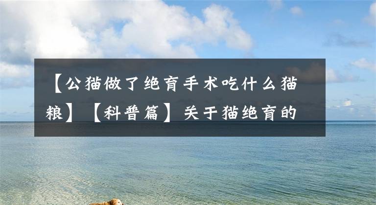 【公猫做了绝育手术吃什么猫粮】【科普篇】关于猫绝育的事情，还没有给猫绝育的父母们一定要掌握！文章配图
