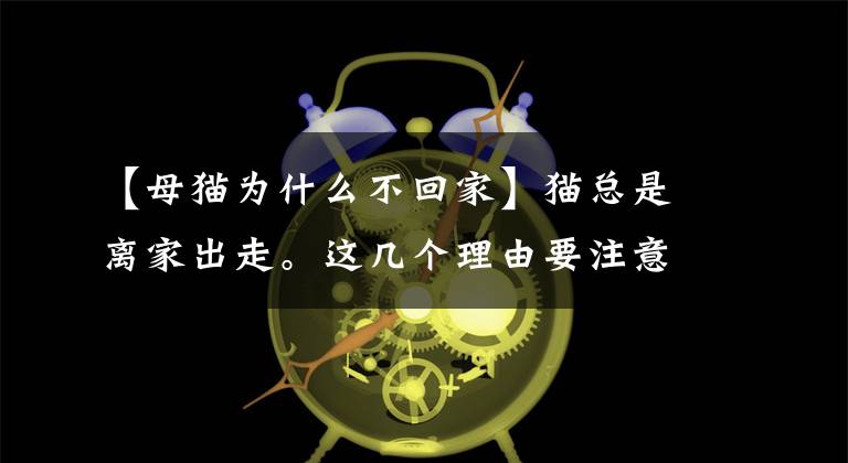 【母猫为什么不回家】猫总是离家出走。这几个理由要注意，小心猫主人再也不回来了文章配图