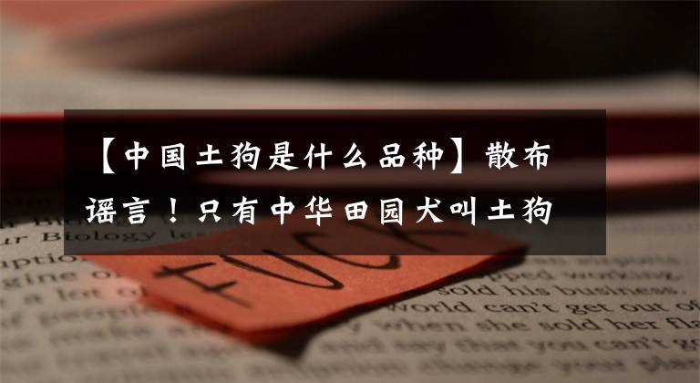 【中国土狗是什么品种】散布谣言！只有中华田园犬叫土狗吗？不同地区的土种狗种类很多文章配图