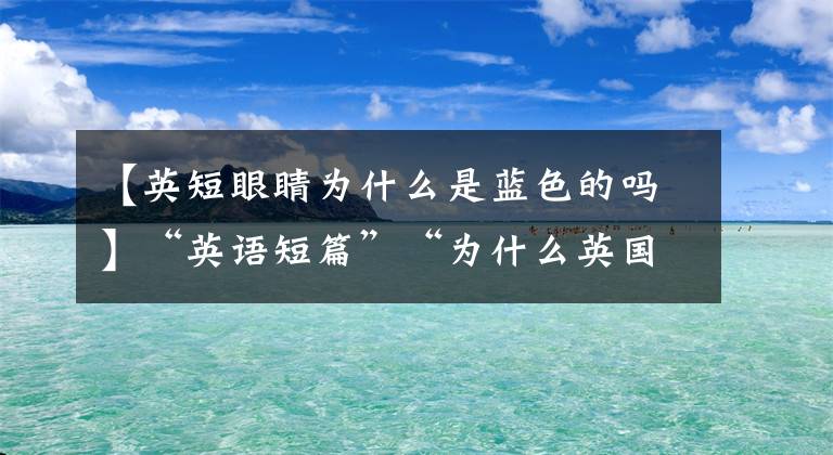 【英短眼睛为什么是蓝色的吗】“英语短篇”“为什么英国短蓝猫毛不是蓝色的”|关于英国短蓝猫特征的详细说明。文章配图