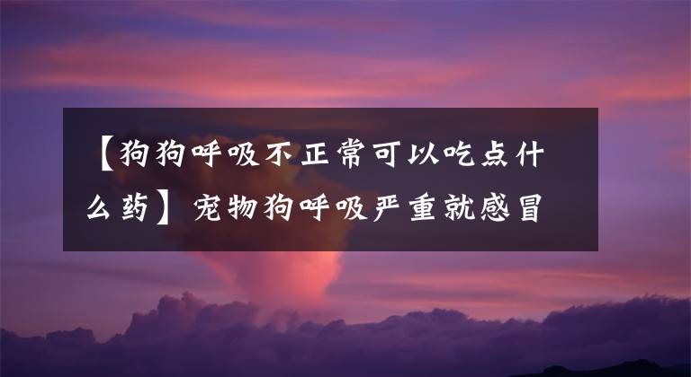 【狗狗呼吸不正常可以吃点什么药】宠物狗呼吸严重就感冒，宠物狗感冒了，呼吸很厉害文章配图