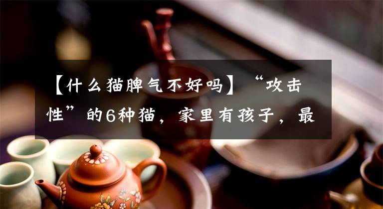 【什么猫脾气不好吗】“攻击性”的6种猫，家里有孩子，最好不要养文章配图
