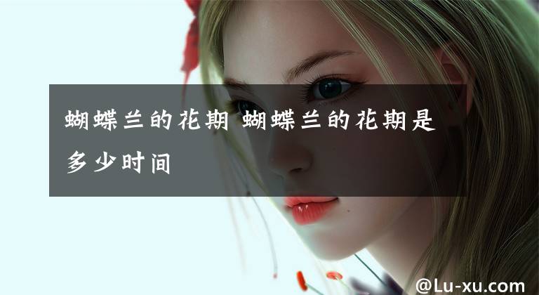 蝴蝶兰的花期 蝴蝶兰的花期是多少时间文章配图