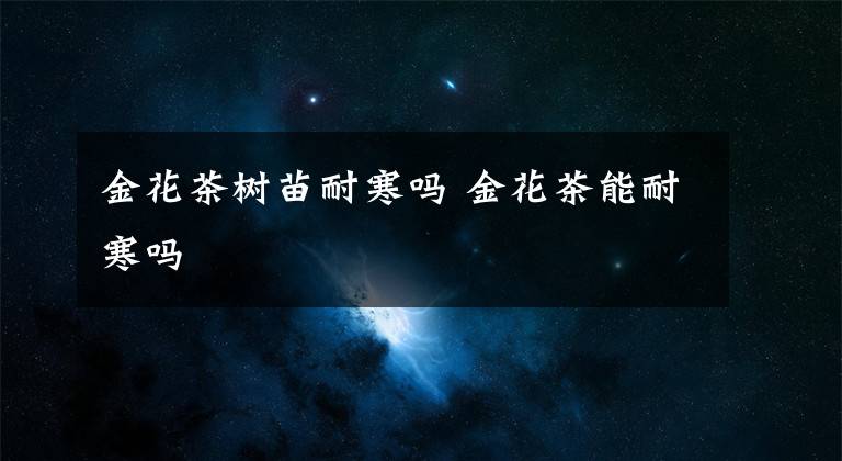 金花茶树苗耐寒吗 金花茶能耐寒吗文章配图