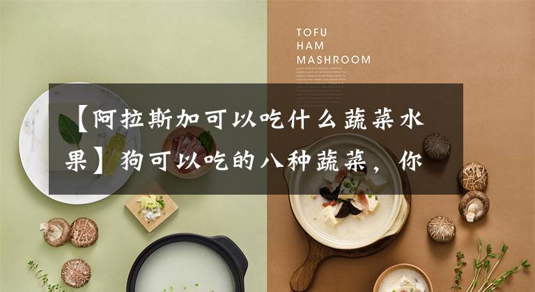 【阿拉斯加可以吃什么蔬菜水果】狗可以吃的八种蔬菜，你知道哪些？文章配图