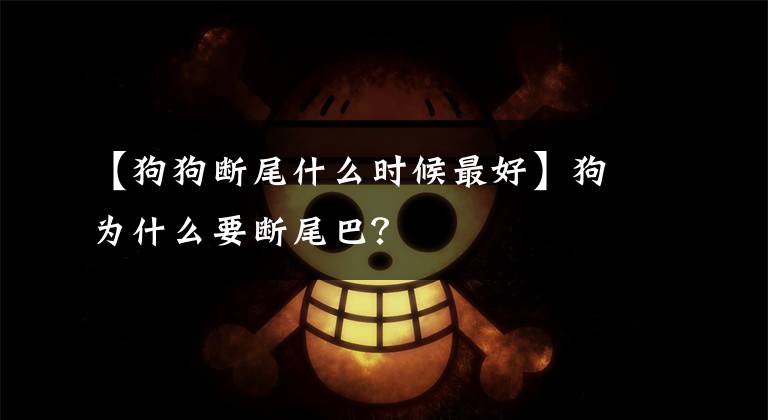 【狗狗断尾什么时候最好】狗为什么要断尾巴？文章配图