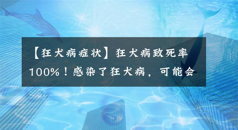 【狂犬病症状】狂犬病致死率100%！感染了狂犬病，可能会有这4个表现