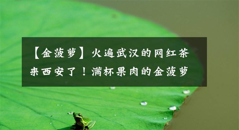 【金菠萝】火遍武汉的网红茶来西安了！满杯果肉的金菠萝只要1块9！