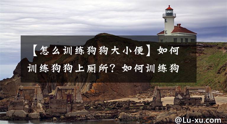 【怎么训练狗狗大小便】如何训练狗狗上厕所？如何训练狗狗定点大小便？（一）