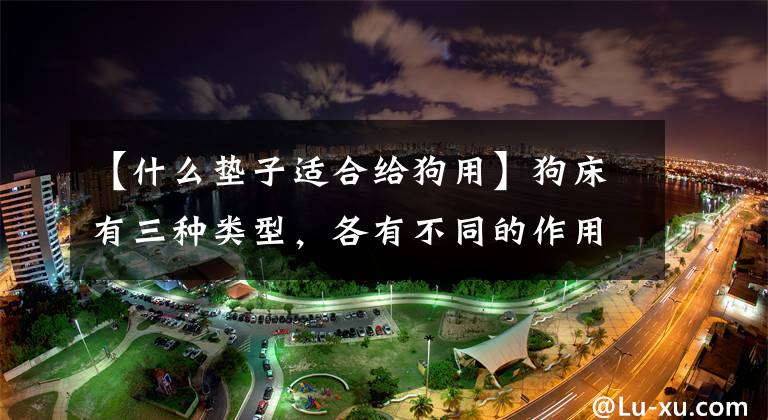 【什么垫子适合给狗用】狗床有三种类型，各有不同的作用。主人购买时要考虑三点文章配图