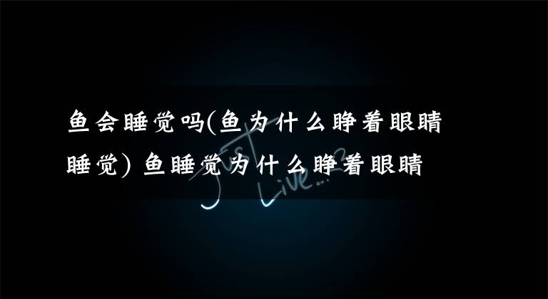 鱼会睡觉吗(鱼为什么睁着眼睛睡觉) 鱼睡觉为什么睁着眼睛睡觉文章配图