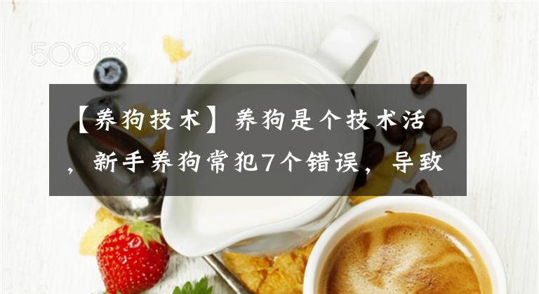 【养狗技术】养狗是个技术活，新手养狗常犯7个错误，导致狗狗不听话