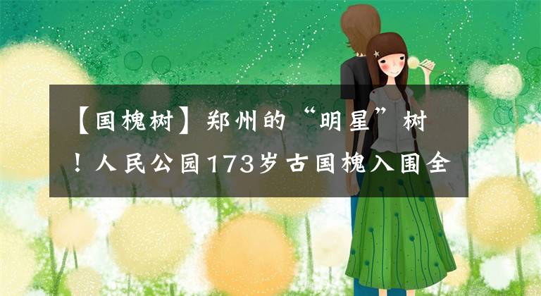 【国槐树】郑州的“明星”树！人民公园173岁古国槐入围全国“镇园植宝”