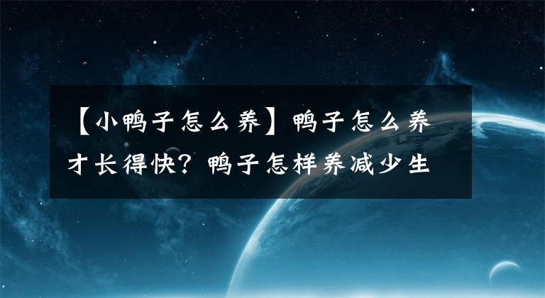 【小鸭子怎么养】鸭子怎么养才长得快？鸭子怎样养减少生病呢？鸭子饲料配方小结