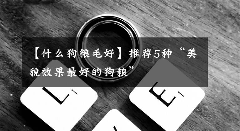 【什么狗粮毛好】推荐5种“美貌效果最好的狗粮”文章配图