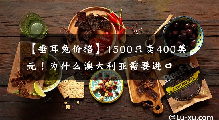 【垂耳兔价格】1500只卖400美元！为什么澳大利亚需要进口屎壳郎，本土没有吗？