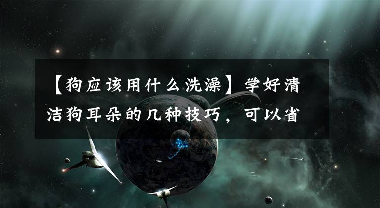 【狗应该用什么洗澡】学好清洁狗耳朵的几种技巧，可以省钱文章配图