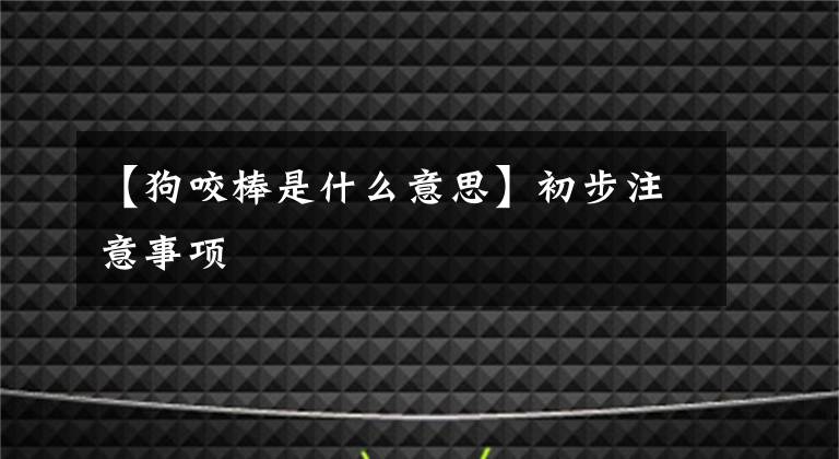 【狗咬棒是什么意思】初步注意事项文章配图