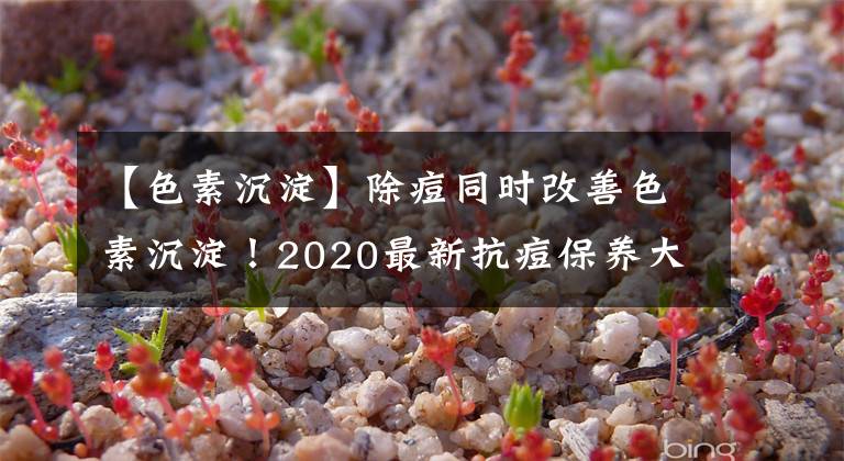 【色素沉淀】除痘同时改善色素沉淀！2020最新抗痘保养大搜罗