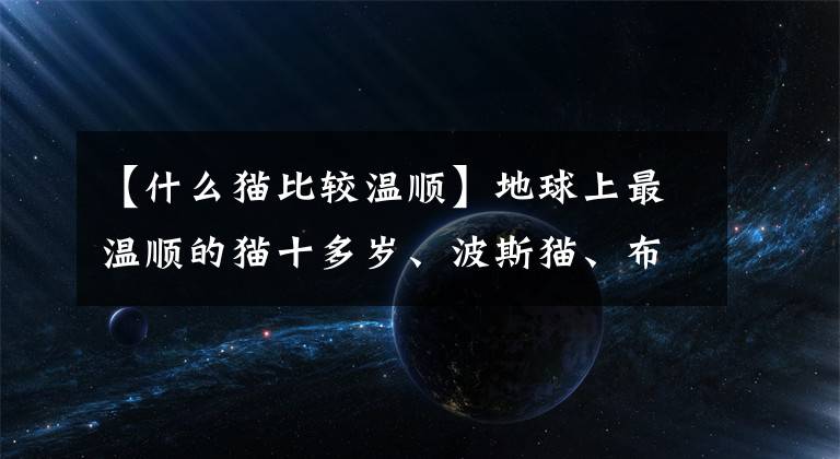 【什么猫比较温顺】地球上最温顺的猫十多岁、波斯猫、布偶猫榜上有名，你家养的吗？