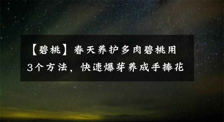 【碧桃】春天养护多肉碧桃用3个方法，快速爆芽养成手捧花