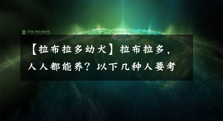 【拉布拉多幼犬】拉布拉多，人人都能养？以下几种人要考虑清楚