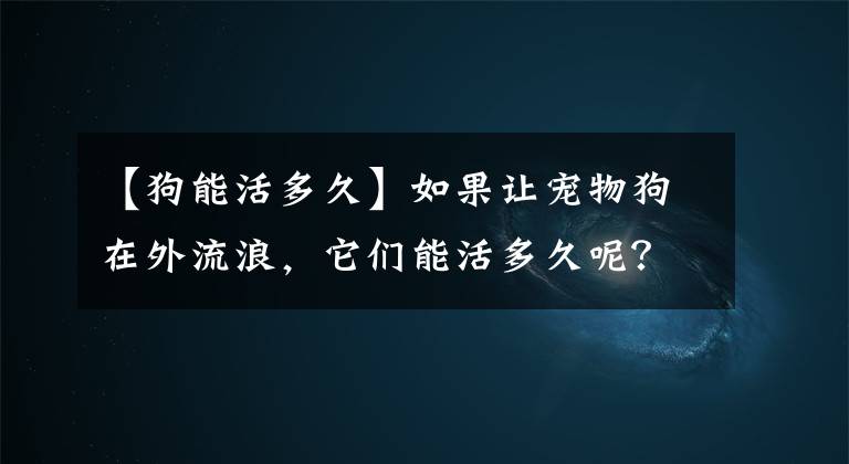 【狗能活多久】如果让宠物狗在外流浪，它们能活多久呢？