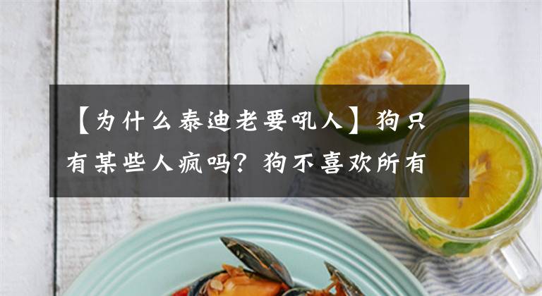 【为什么泰迪老要吼人】狗只有某些人疯吗？狗不喜欢所有人。这三个理由看不惯人文章配图
