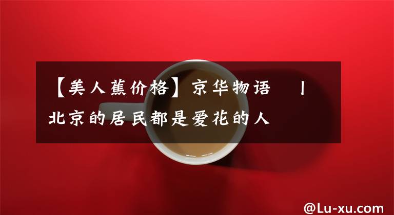 【美人蕉价格】京华物语㉗丨北京的居民都是爱花的人