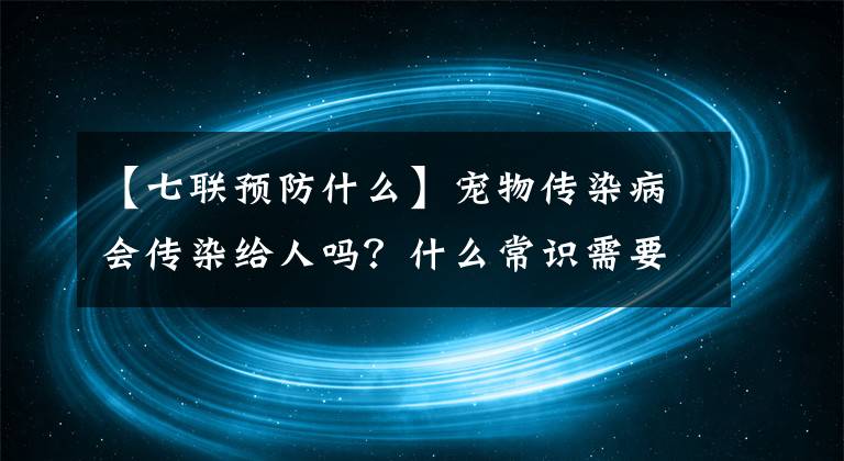 【七联预防什么】宠物传染病会传染给人吗？什么常识需要注意！