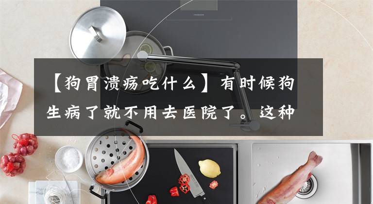 【狗胃溃疡吃什么】有时候狗生病了就不用去医院了。这种食物很舒服，很容易治疗常见的疾病文章配图