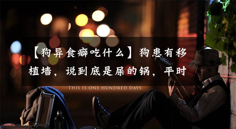 【狗异食癖吃什么】狗患有移植墙，说到底是屎的锅，平时饮食问题是关键。文章配图