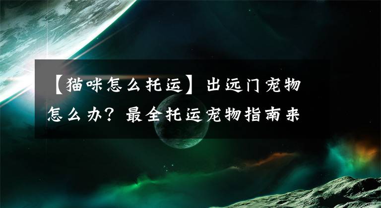 【猫咪怎么托运】出远门宠物怎么办？最全托运宠物指南来了