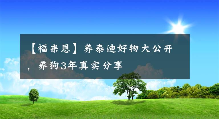 【福来恩】养泰迪好物大公开，养狗3年真实分享