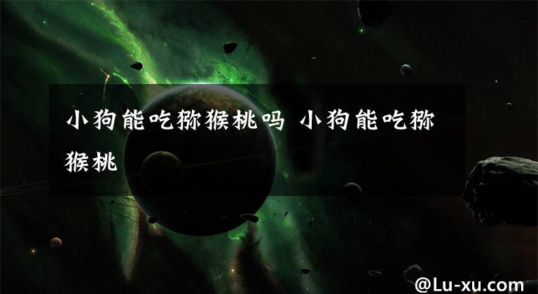 小狗能吃猕猴桃吗 小狗能吃猕猴桃文章配图