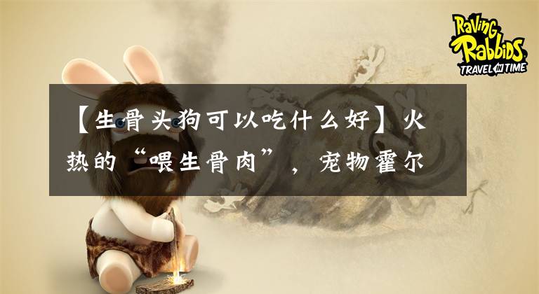 【生骨头狗可以吃什么好】火热的“喂生骨肉”，宠物霍尔德能忍受吗？文章配图