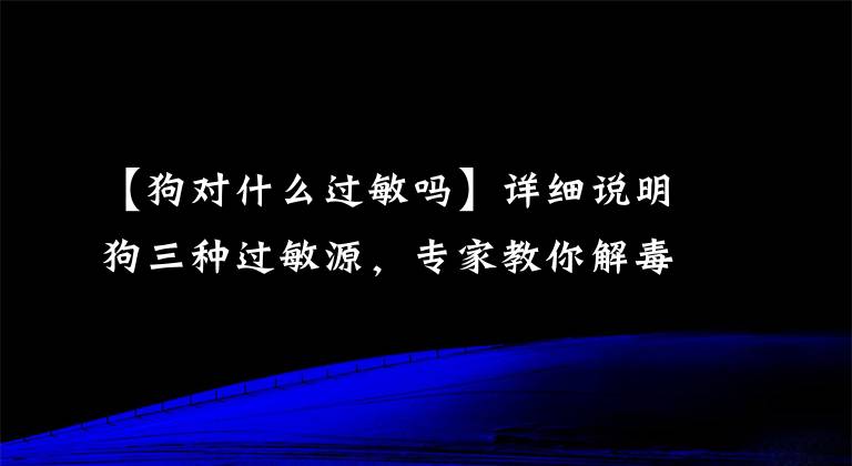 【狗对什么过敏吗】详细说明狗三种过敏源，专家教你解毒方法，一种过敏源几乎是不可救药的。文章配图