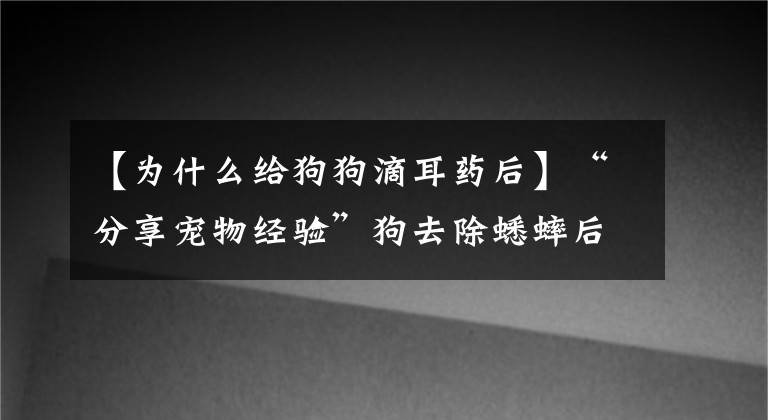 【为什么给狗狗滴耳药后】“分享宠物经验”狗去除蟋蟀后枯萎，狗治疗蟋蟀后凋谢文章配图