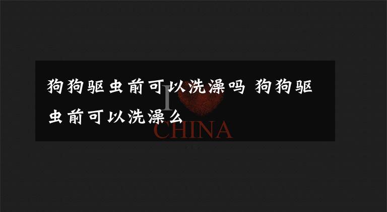 狗狗驱虫前可以洗澡吗 狗狗驱虫前可以洗澡么文章配图
