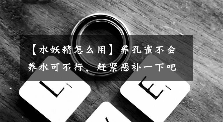 【水妖精怎么用】养孔雀不会养水可不行，赶紧恶补一下吧