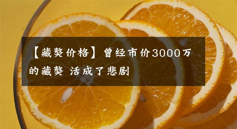 【藏獒价格】曾经市价3000万的藏獒 活成了悲剧