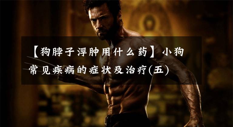 【狗脖子浮肿用什么药】小狗常见疾病的症状及治疗(五)文章配图