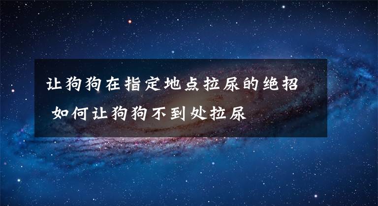 让狗狗在指定地点拉尿的绝招 如何让狗狗不到处拉尿文章配图