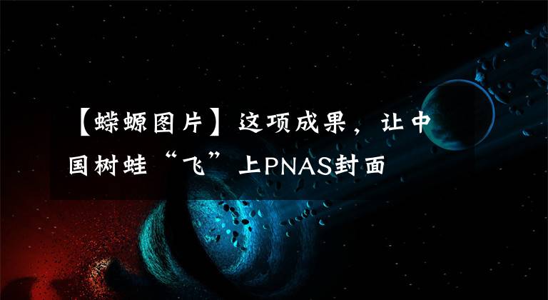 【蝾螈图片】这项成果，让中国树蛙“飞”上PNAS封面