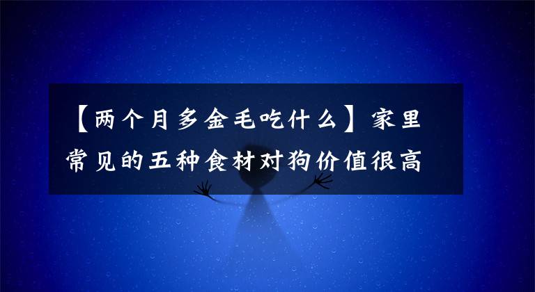 【两个月多金毛吃什么】家里常见的五种食材对狗价值很高，竟然能治病！文章配图