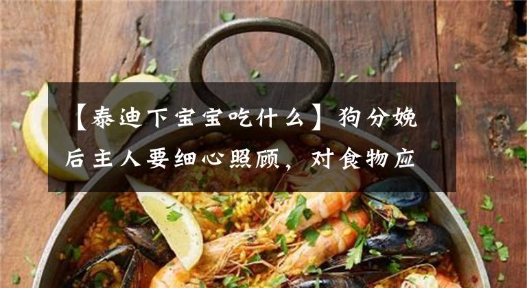 【泰迪下宝宝吃什么】狗分娩后主人要细心照顾，对食物应该有什么要求？文章配图